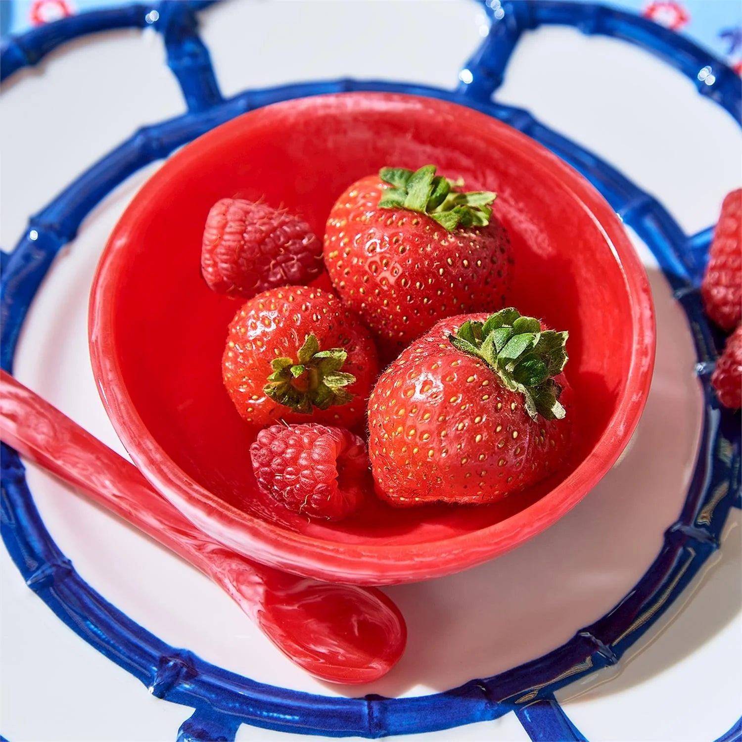 TIDBIT BOWL'S -RED/WHT/BLUE