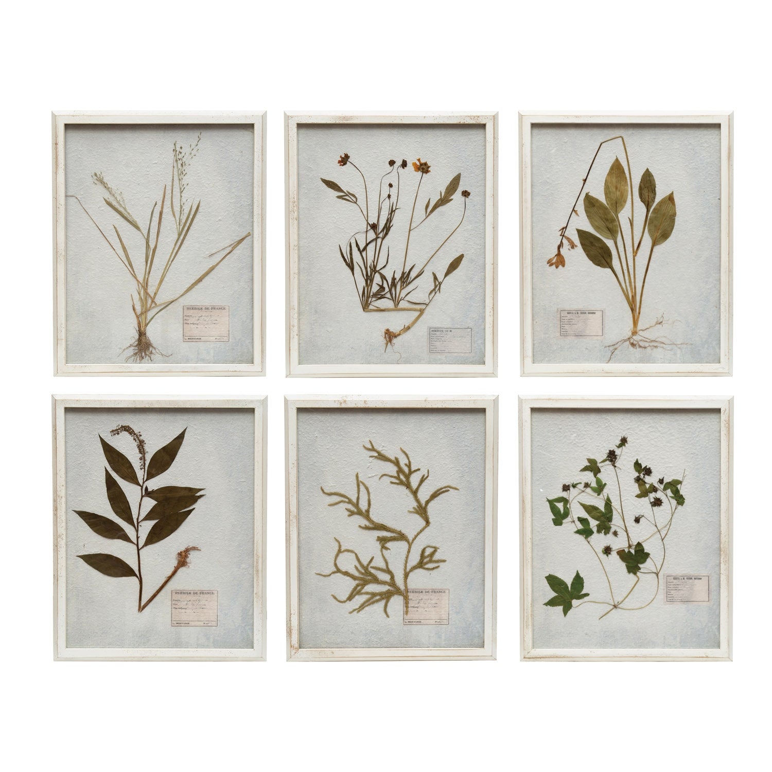 Wood Framed Dried Botanicals (15.75" x 19.5")