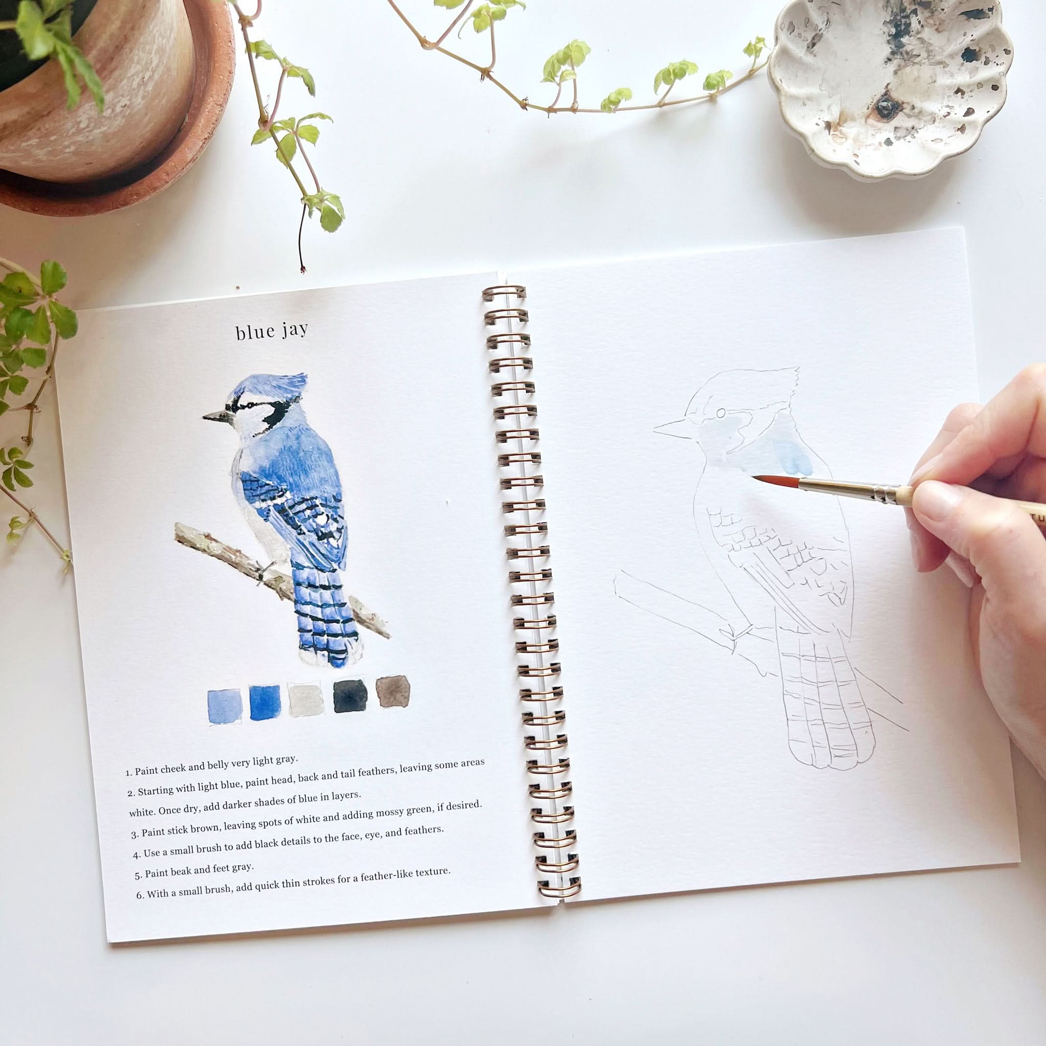 BIRDS WATERCOLOR WORKBOOK