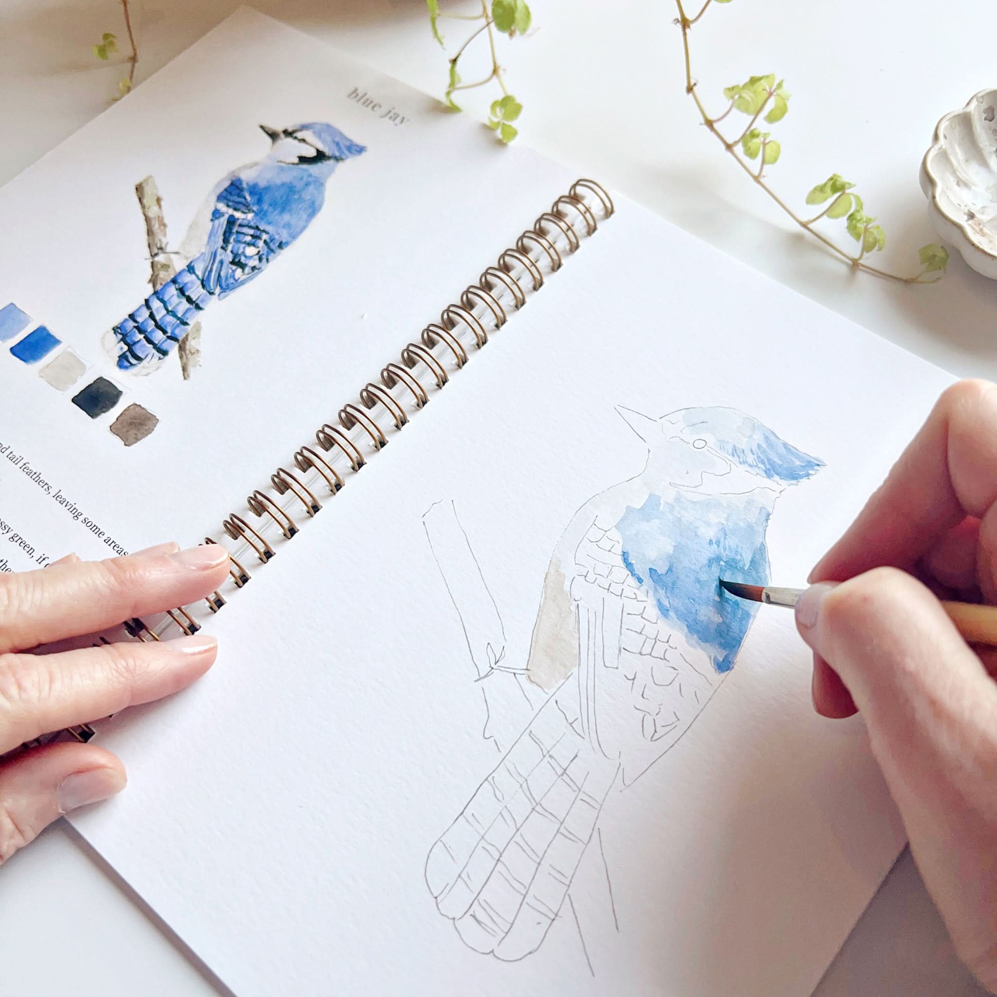 BIRDS WATERCOLOR WORKBOOK