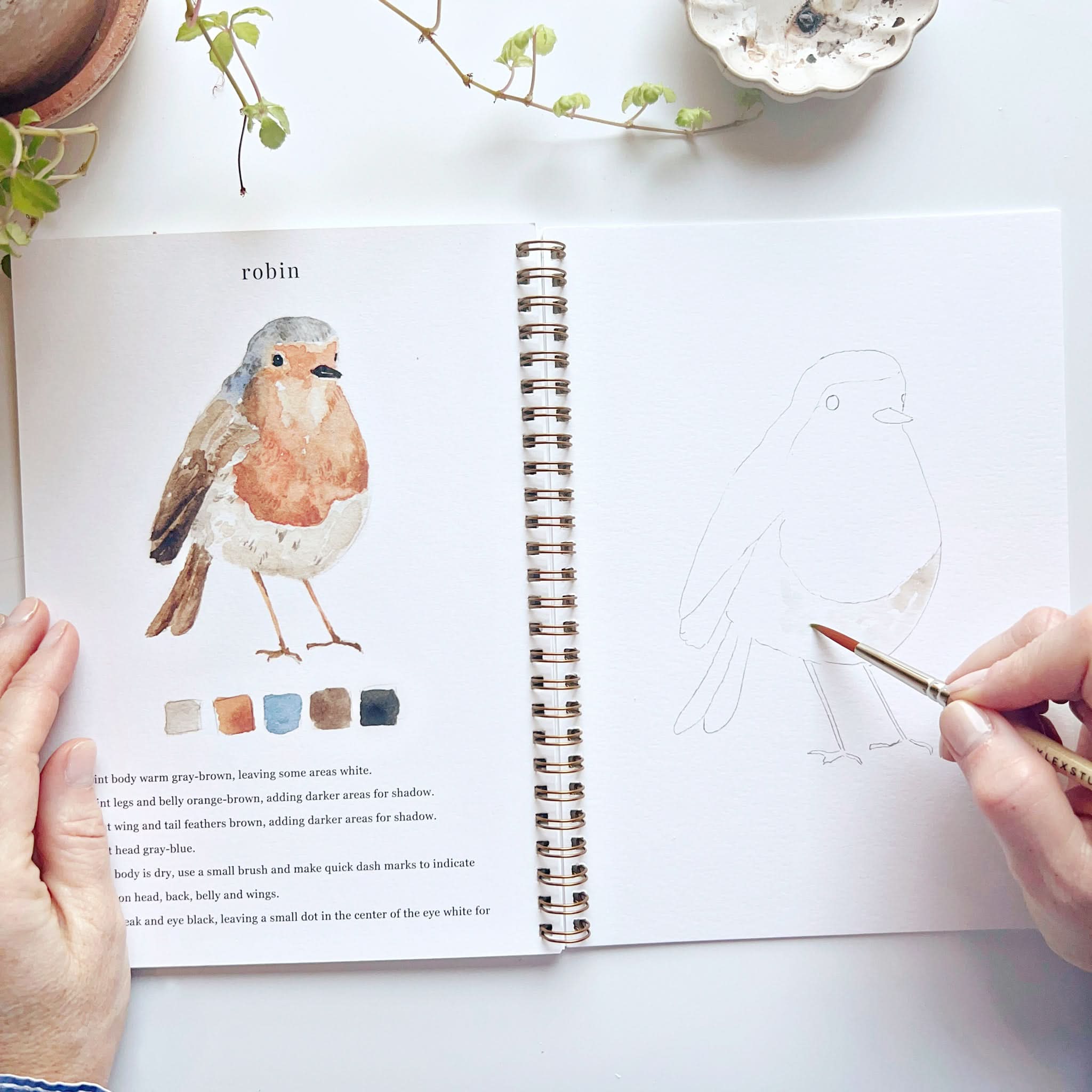 BIRDS WATERCOLOR WORKBOOK