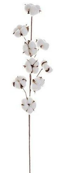 29.5" Cotton Pod Spray WH/NA