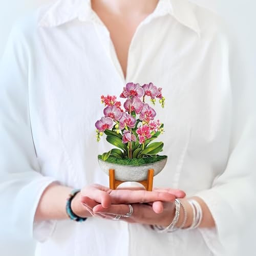 Mini Orchid Oasis