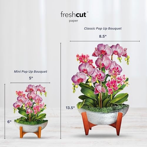 Mini Orchid Oasis
