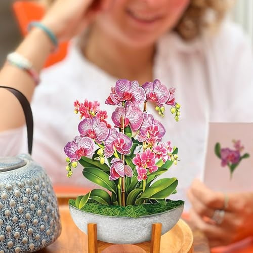 Mini Orchid Oasis