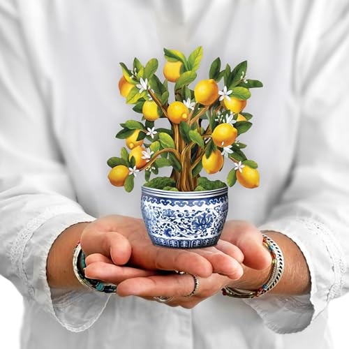 Mini Lemon Tree