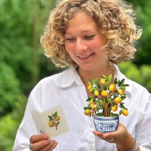 Mini Lemon Tree