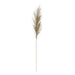 48" Faux Pampas Grass Plume, Sage