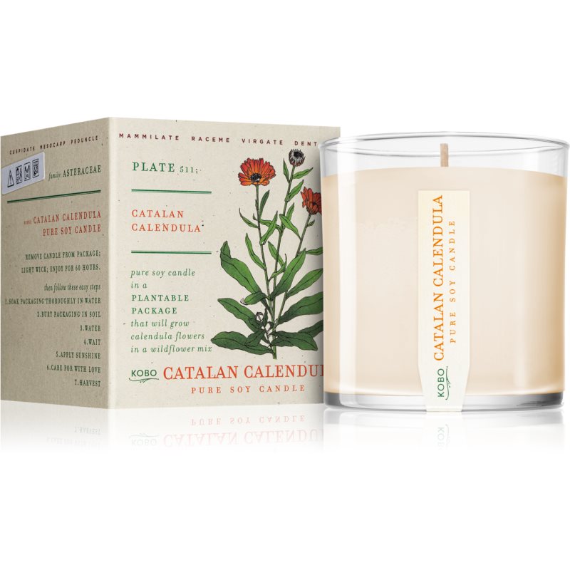 Catalan Calendula Pure Soy Candle