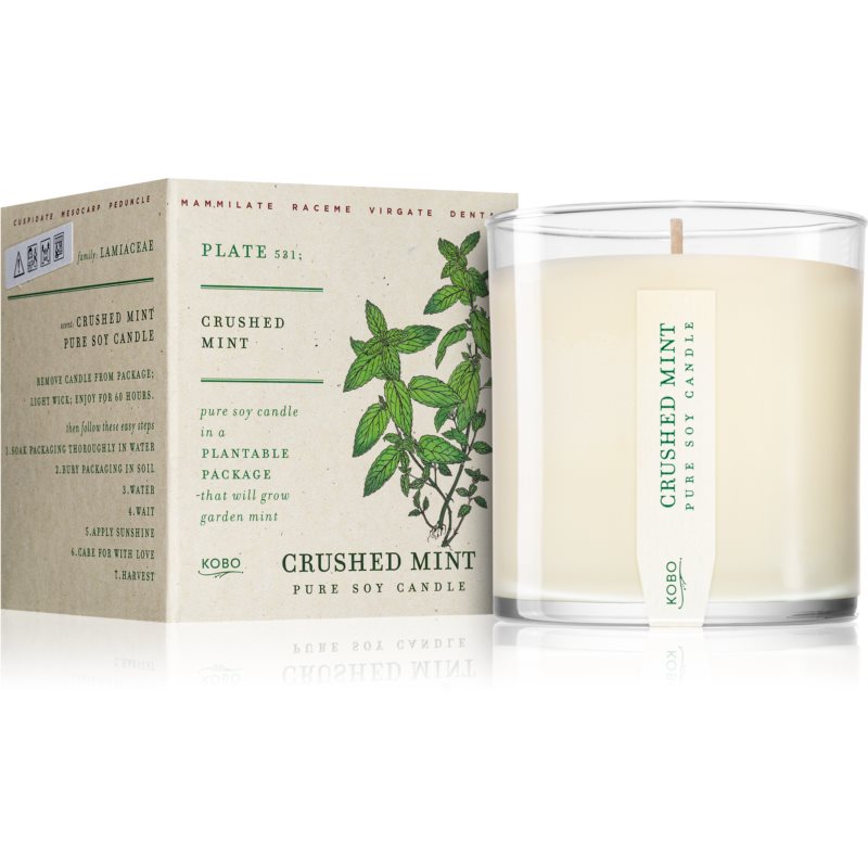Crushed Mint Pure Soy Candle