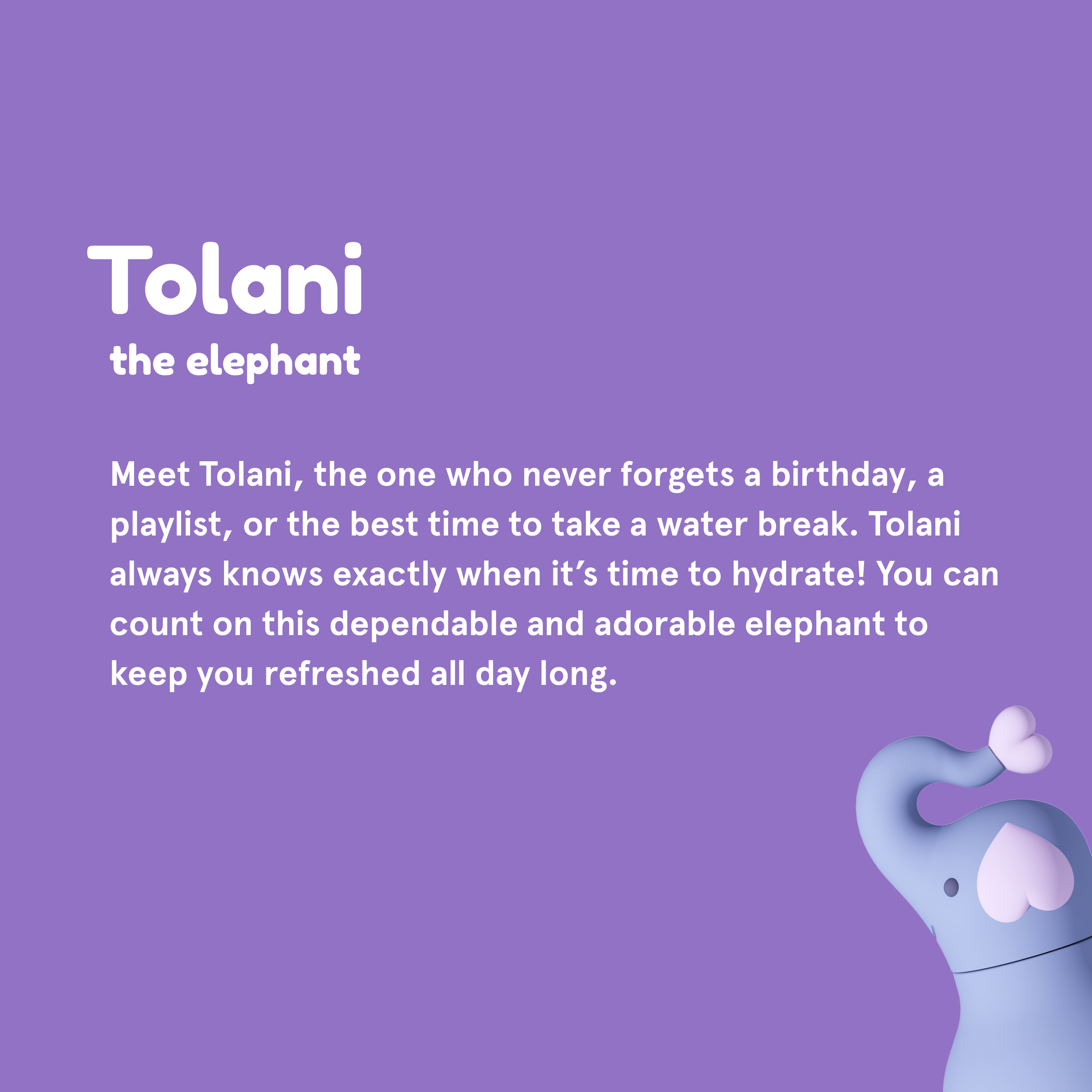 Ceramic-Lined Water Bottle - Elephant