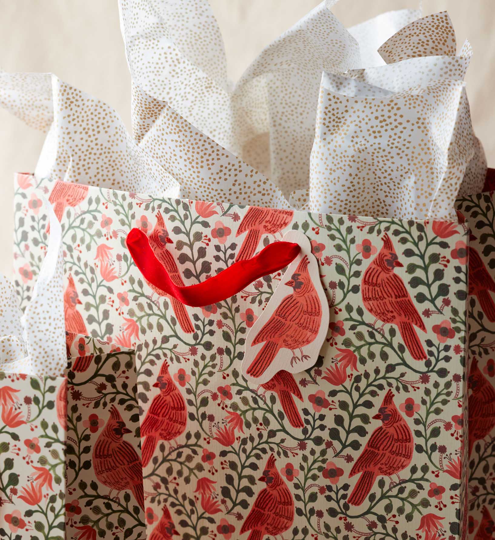 Cardinals Gift Bag - Large