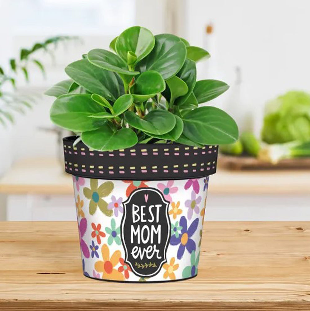 My Mom's the Best 6" Art Pot
