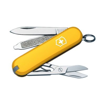 Classic SD Sunny Side Yellow Boxed
