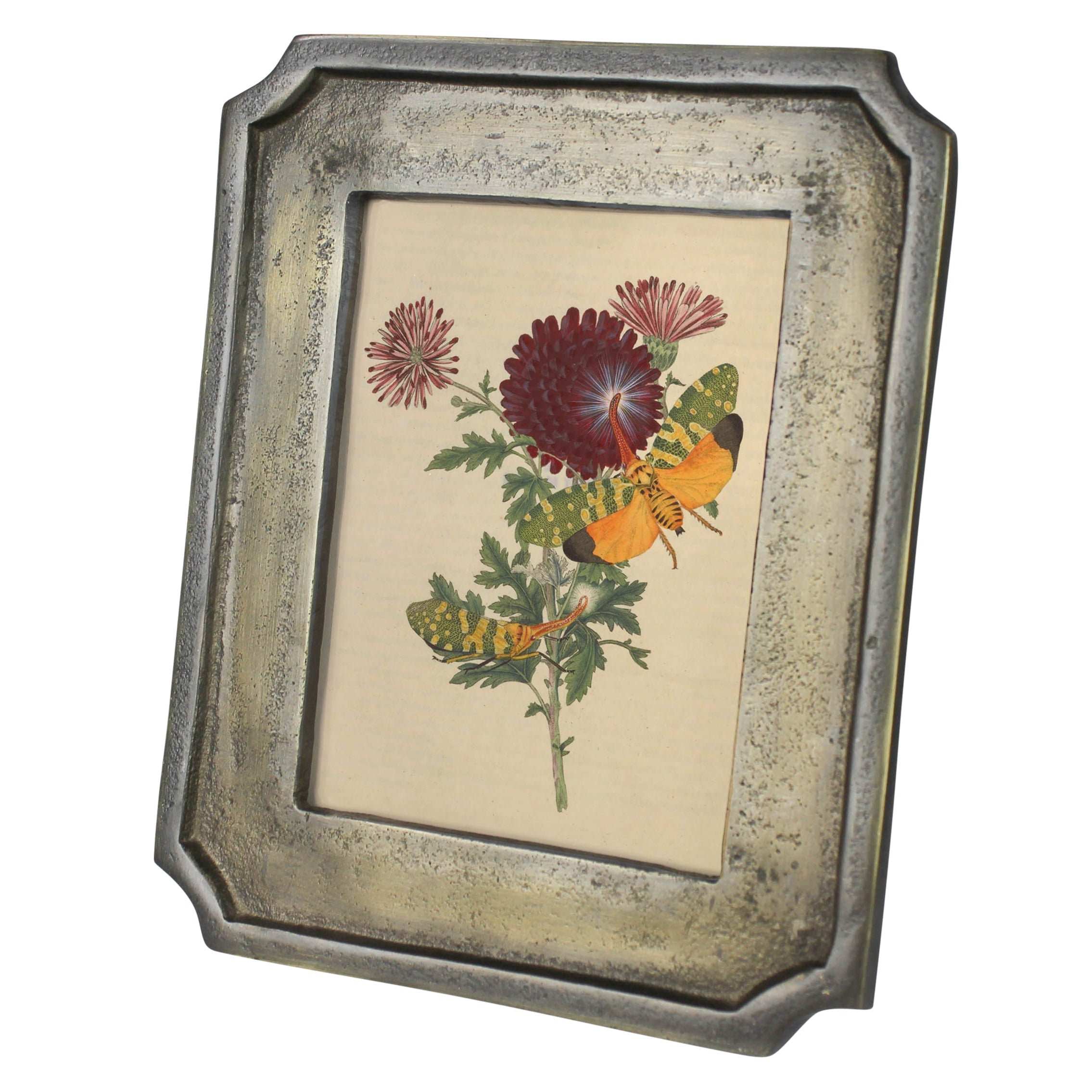 BEVELED BRASS/BLACK FRAME-5X7