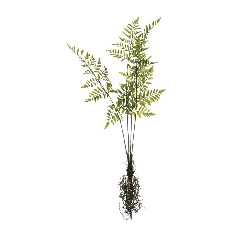 Faux Fern w/Exposed Roots 32"