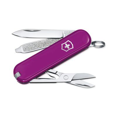 Classic SD Tasty Grape Purple Boxed