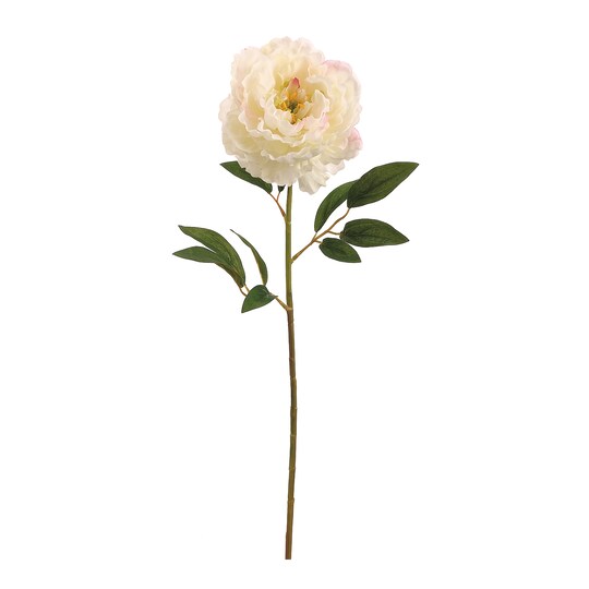 29" Peony Spray CR