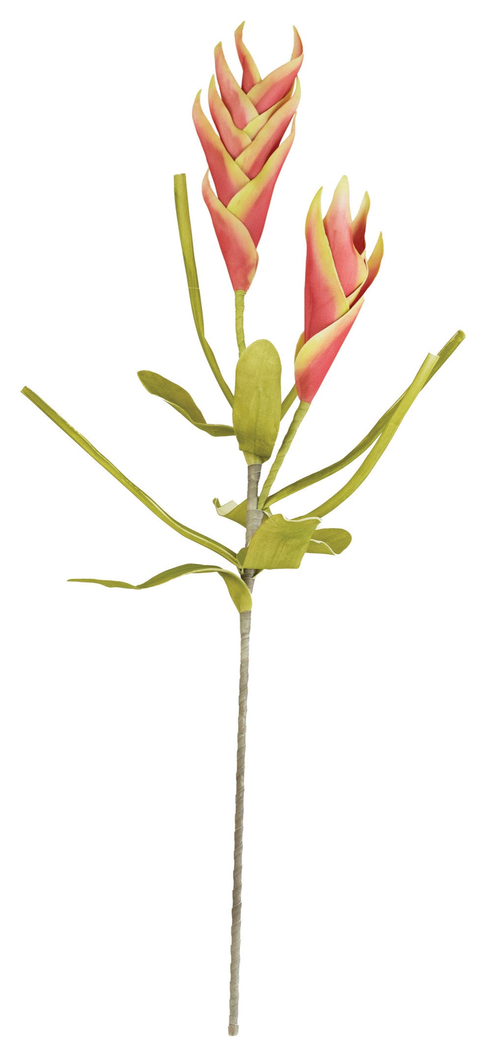Botanica #2494 - pink
