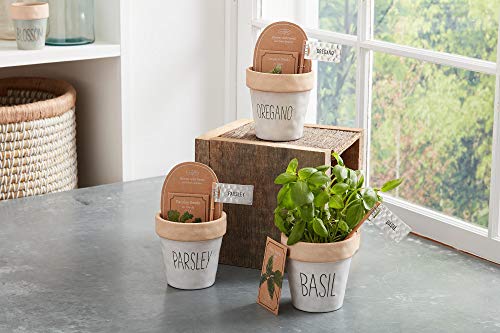 OREGANO PLANTER SET