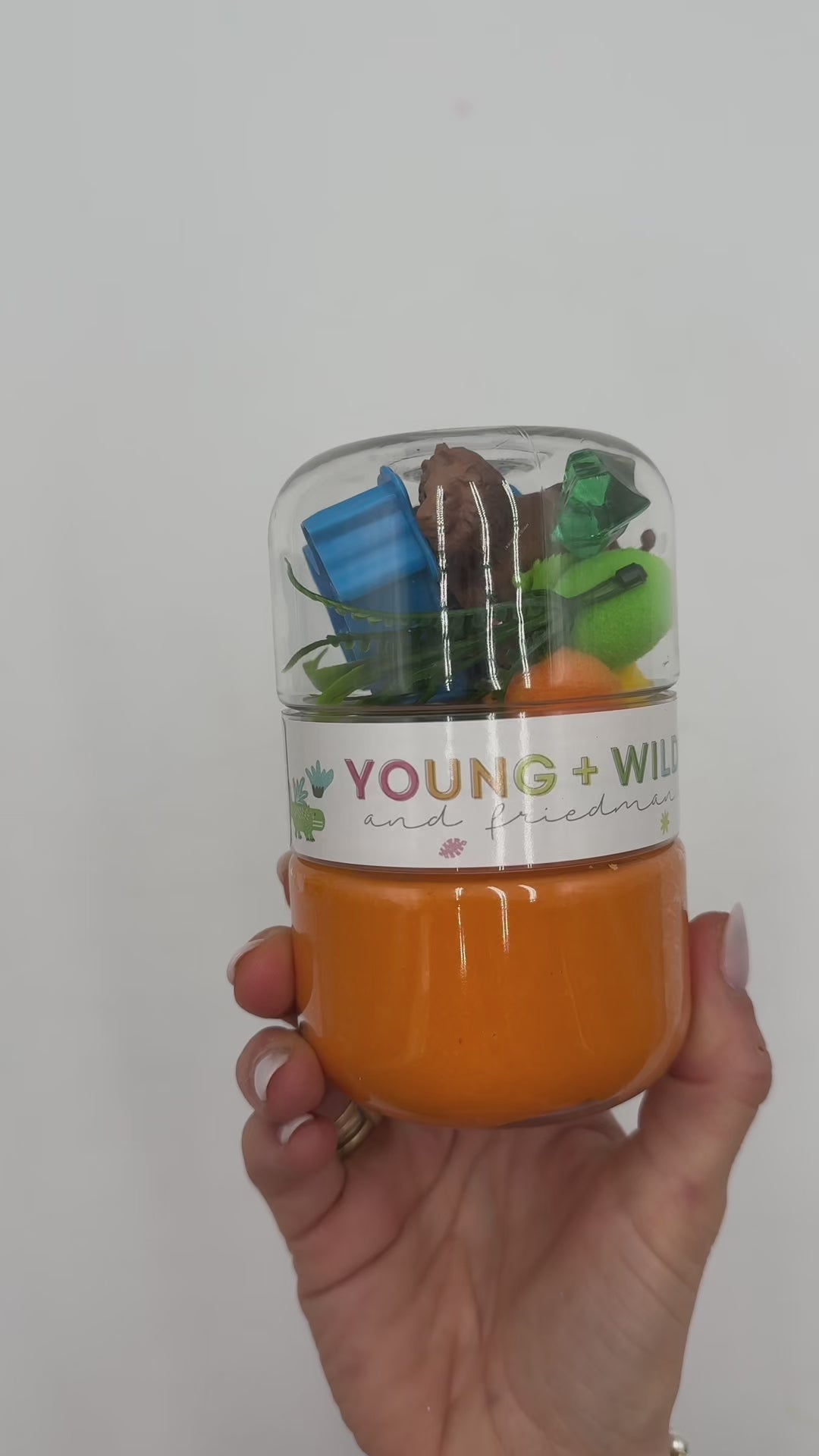 Grab & Go Dough Jar - Zoo