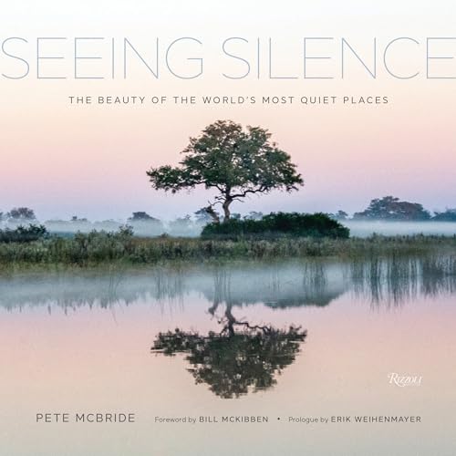 SEEING SILENCE