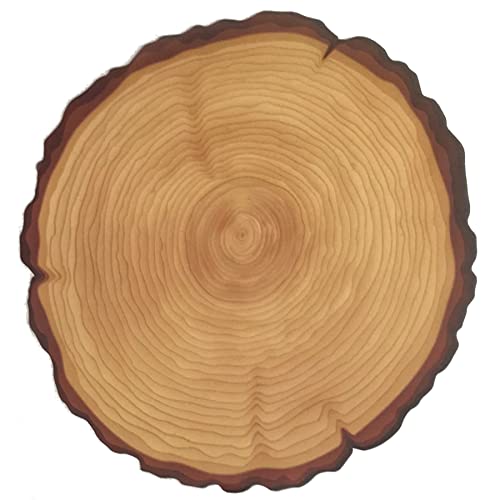 LOG SLICE PARCHMENT LEAVES
