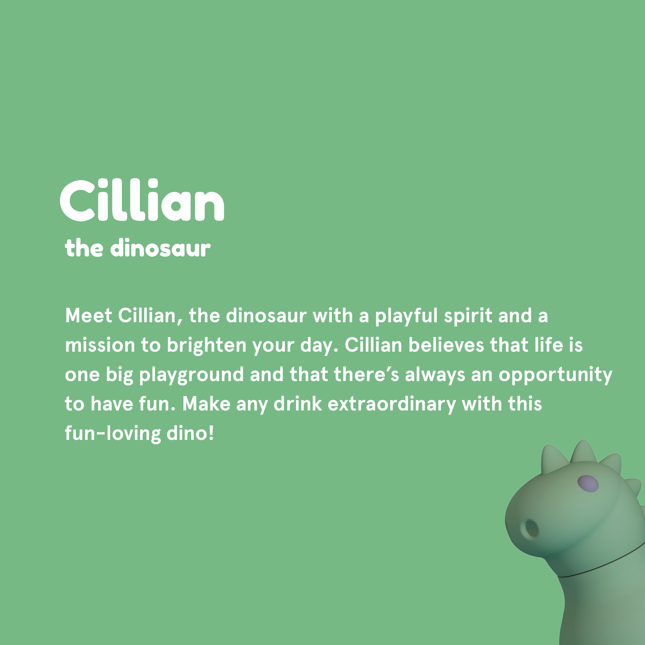 Ceramic-Lined Water Bottle - Dinosaur