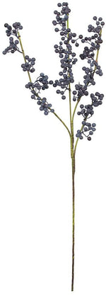 Botanica #3108