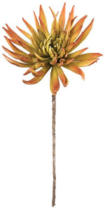 Botanica #1147