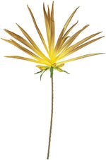 Botanica #3189