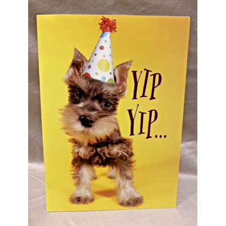 Schnauzer Wearing Birthday Hat Card