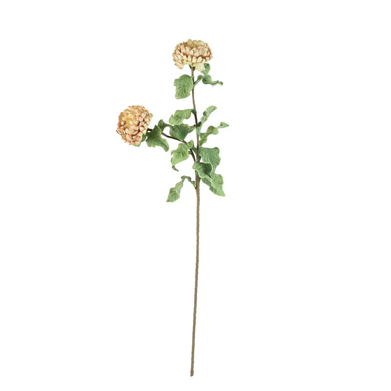 Botanica #3184