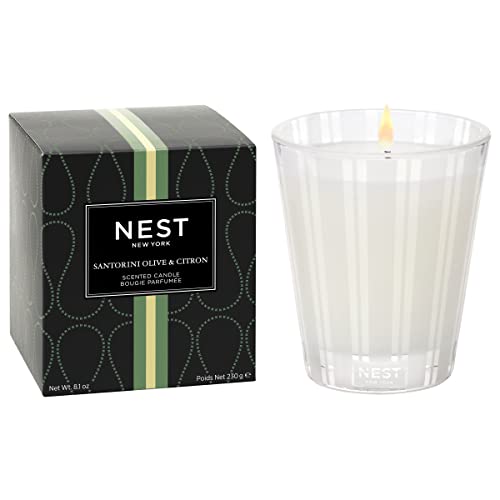 NEST CLASSIC CANDLE SANTORINI OLIVE & CITRON 8.1OZ