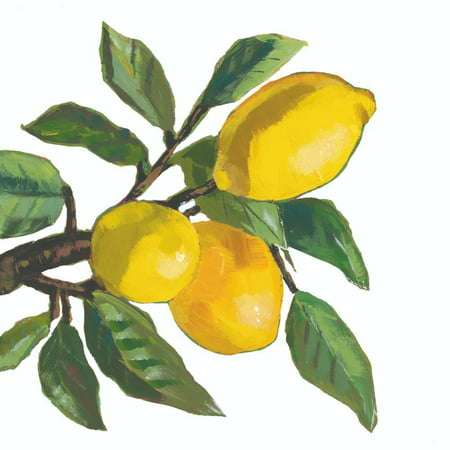 Luncheon Napkin - Lemon Musee, White