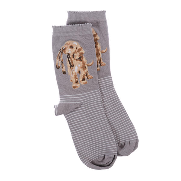 Dog Sock - Hopeful - Grey