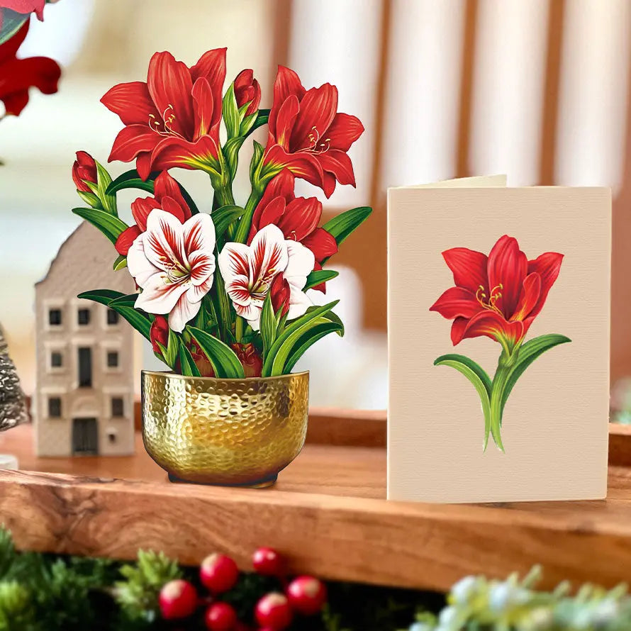 MINI SCARLET AMARYLLIS GREETING CARD