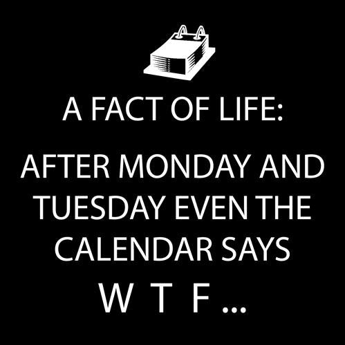 Cocktail Napkin - WTF (Black)