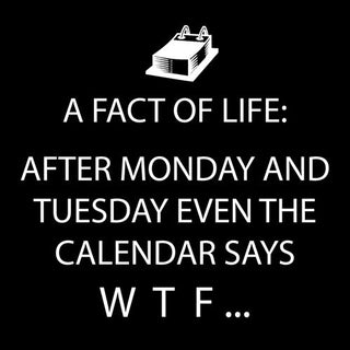 Cocktail Napkin - WTF (Black)