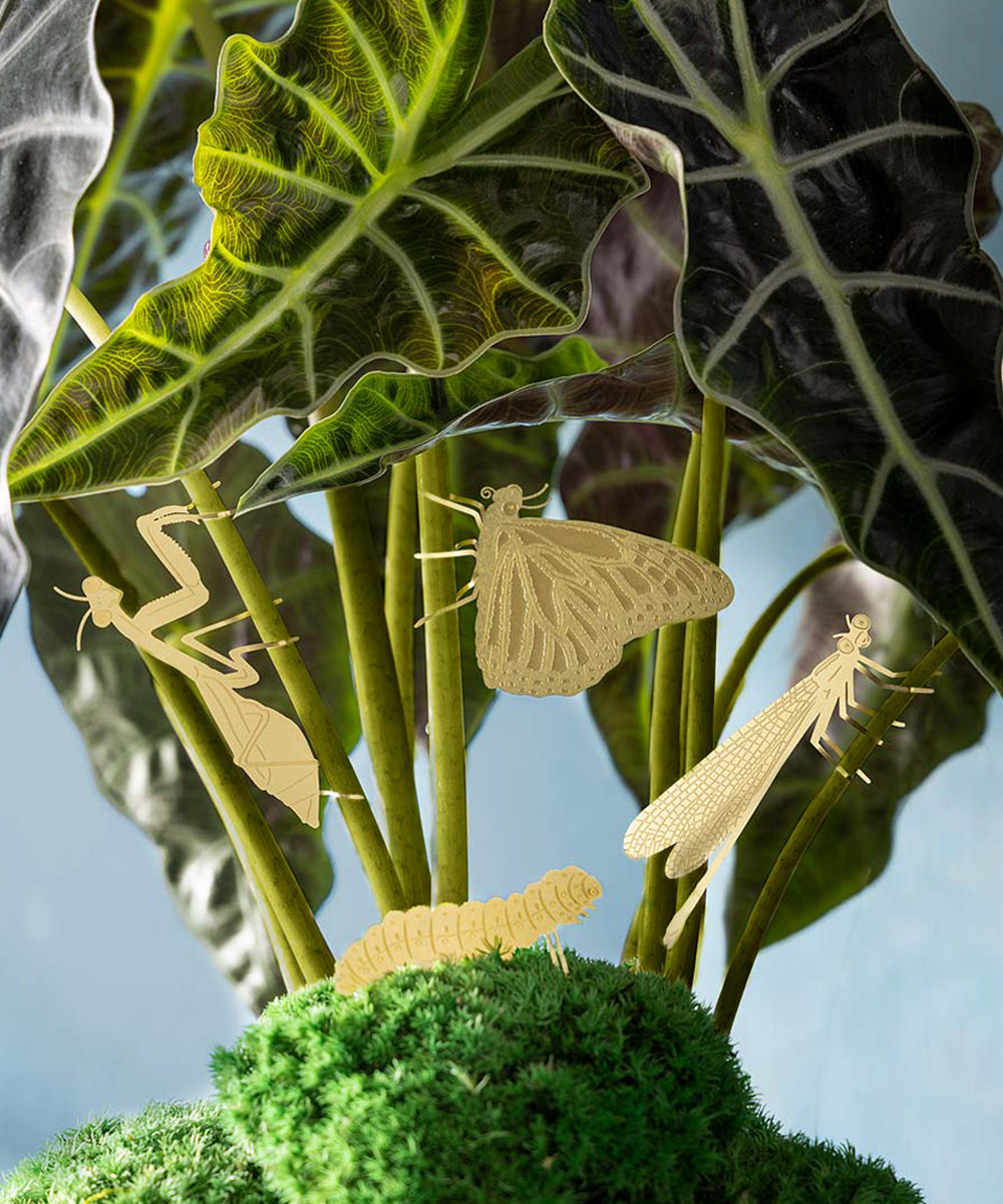 Plant Animal - Caterpillar