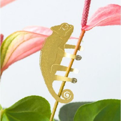 Plant Animal - Chameleon