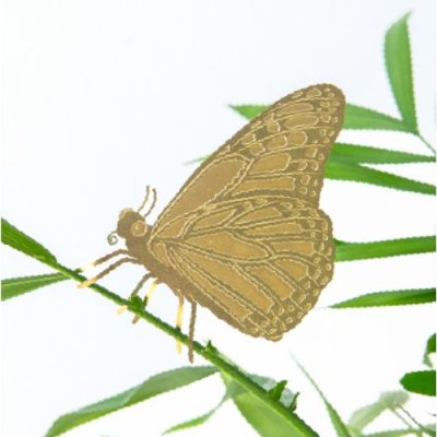 Plant Animal - Butterfly