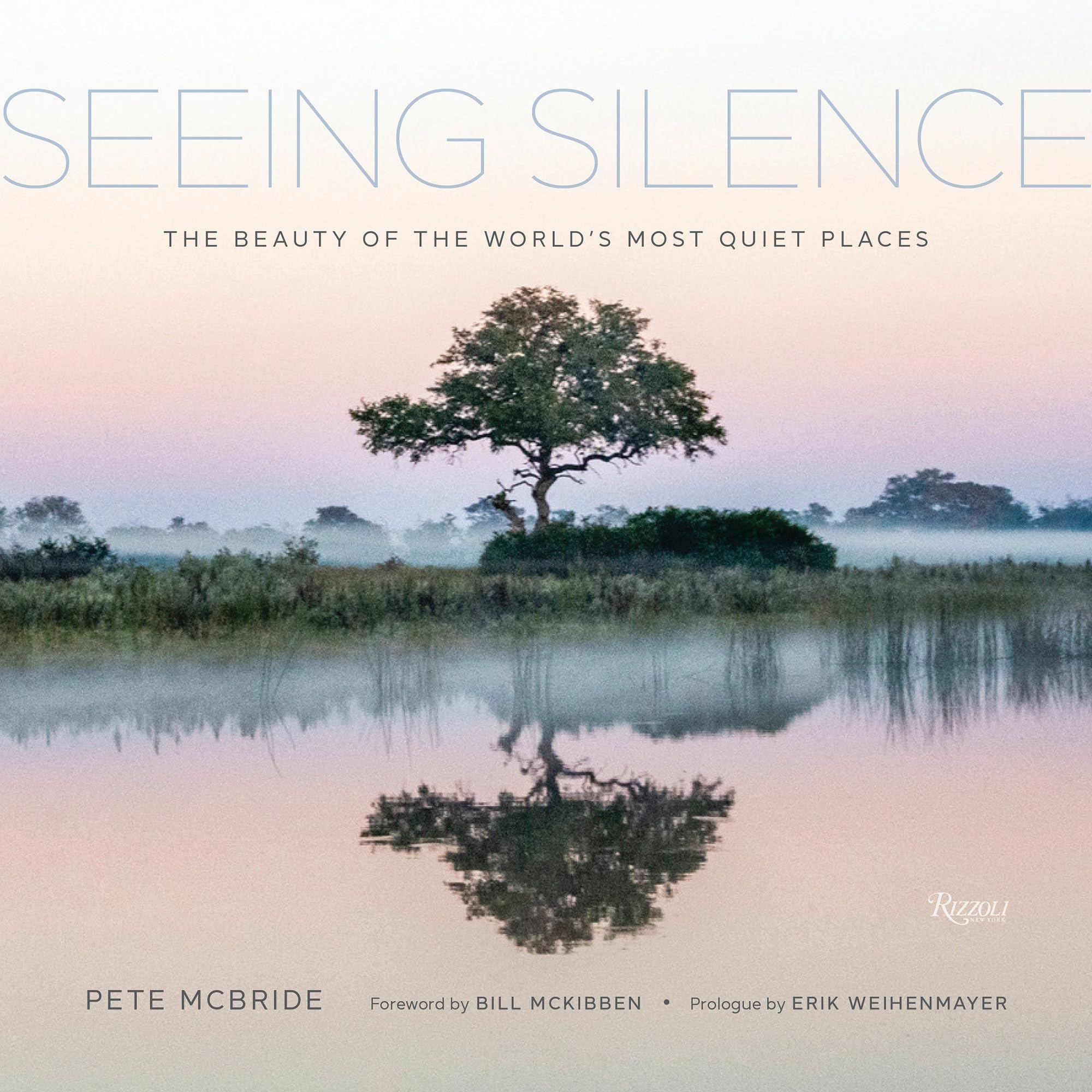 SEEING SILENCE