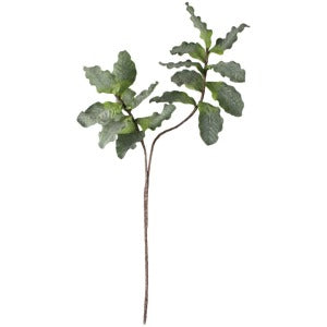 Botanica #0544