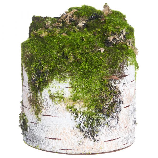 7" Faux Birch Log w/Moss Beige/Green