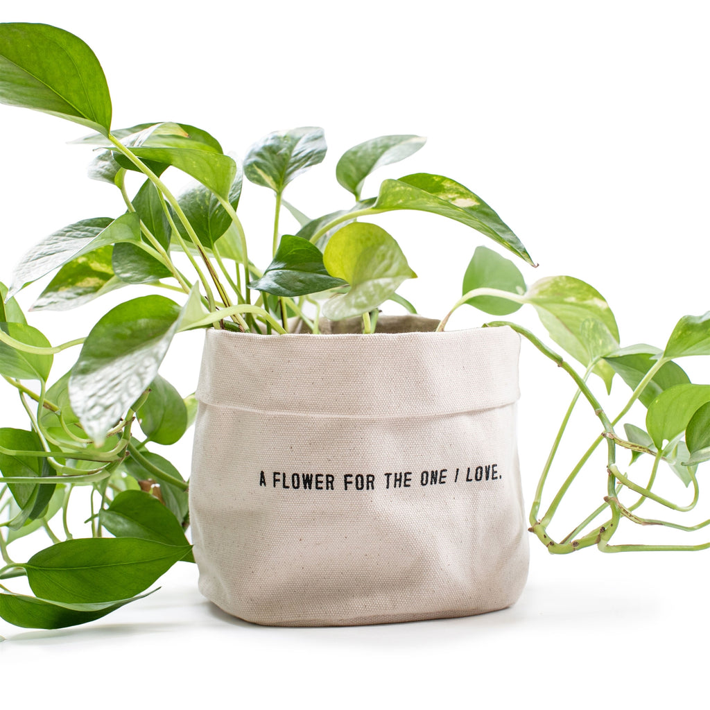 A Flower for the One I Love - Canvas Planter (lg)