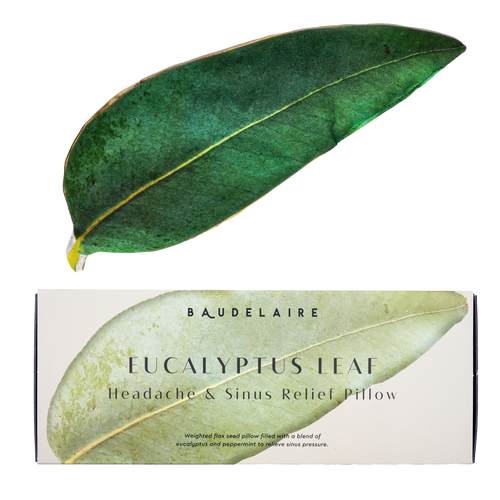 Eucalyptus Leaf Pillow