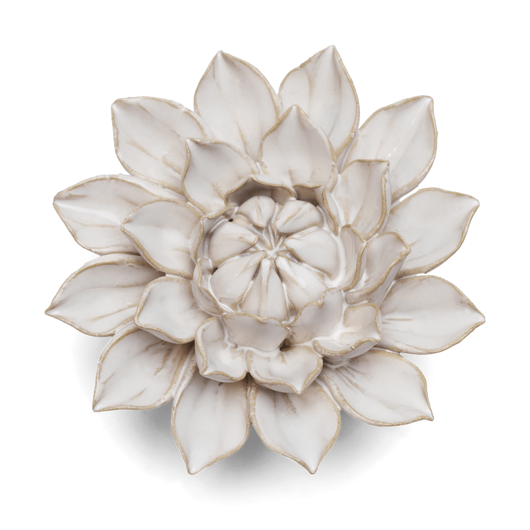 Ceramic Flower White Collection Ivory Dahlia