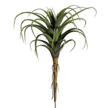 8.5" TILLANDSIA GREEN