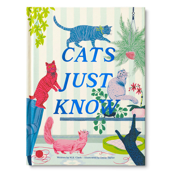 Cats Just Know - Book